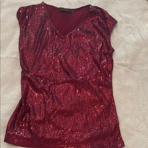 The Limited Burgundy Sequin V-Neck Blouse